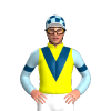 Jockey Silk