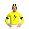Jockey Silk