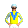 Jockey Silk