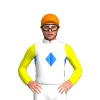 Jockey Silk