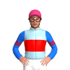Jockey Silk