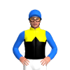 Jockey Silk