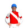 Jockey Silk