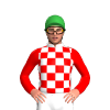 Jockey Silk