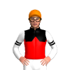 Jockey Silk