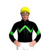Jockey Silk