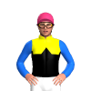 Jockey Silk
