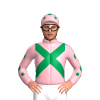 Jockey Silk