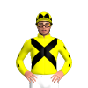 Jockey Silk