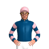 Jockey Silk