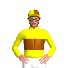 Jockey Silk