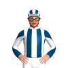 Jockey Silk