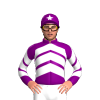Jockey Silk