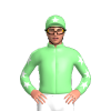 Jockey Silk
