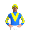 Jockey Silk