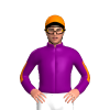 Jockey Silk
