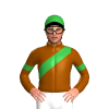 Jockey Silk