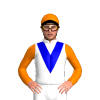 Jockey Silk