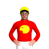 Jockey Silk