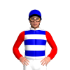 Jockey Silk