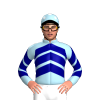 Jockey Silk