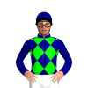 Jockey Silk