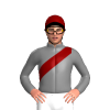 Jockey Silk