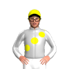 Jockey Silk