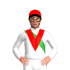 Jockey Silk