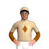 Jockey Silk