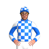 Jockey Silk