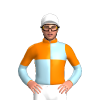 Jockey Silk