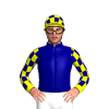 Jockey Silk