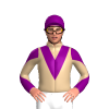 Jockey Silk