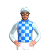 Jockey Silk