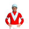 Jockey Silk