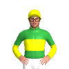 Jockey Silk
