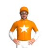 Jockey Silk