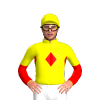 Jockey Silk