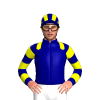 Jockey Silk