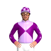 Jockey Silk