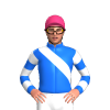 Jockey Silk