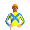 Jockey Silk