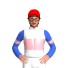 Jockey Silk