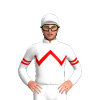 Jockey Silk