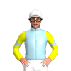 Jockey Silk
