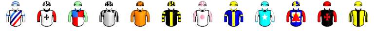Runner silk