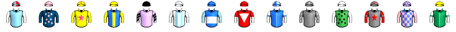 Runner silk