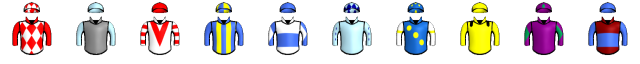 Runner silk
