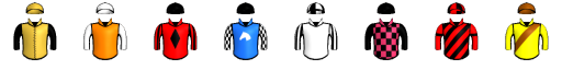 Runner silk